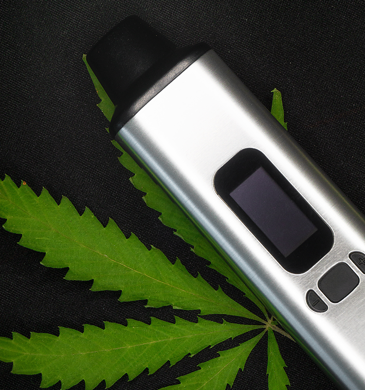 Synergie des terpènes naturels végétaux